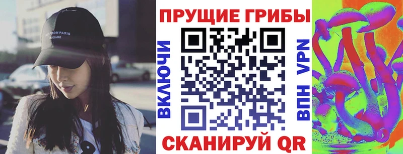 KRAKEN вход Петушки Галлюциногенные грибы Psilocybe